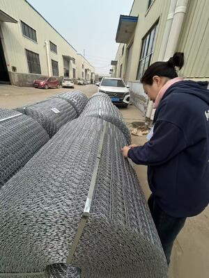 Zinc Coating Pipeline Reinforced Mesh For Everglades Gas Pipeline